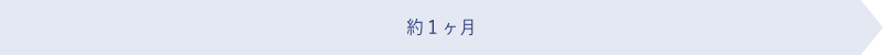約1ヶ月